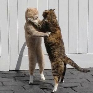 Meet your Posher, Helen